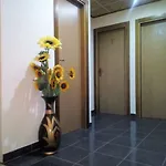 Hostal Pansion *